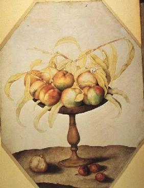 Wooden Fruit Bowl of Apples