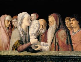 Bellini, Darstellung Jesu im Tempel