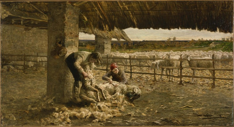 The Sheepshearing van Giovanni Segantini