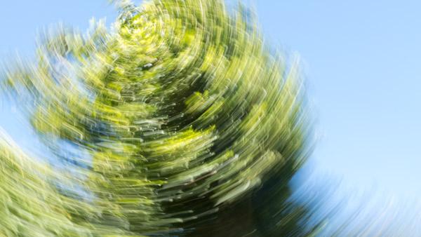 Spinning tree 2