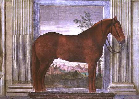 Sala dei Cavalli, detail showing a portrait of a chestnut horse from the stables of Ludovico Gonzaga van Giulio Romano