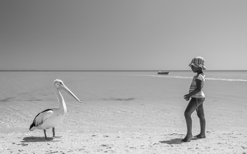 Mekdi and the pelican van Gloria Salgado Gispert