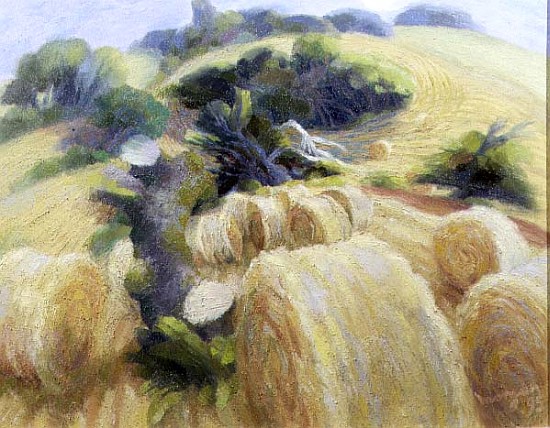 Harvest, 1995 (oil on canvas)  van Glyn  Morgan