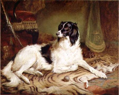 'Minna', a favourite dog of James, Marquess of Dalhousie van Gourlay Steell