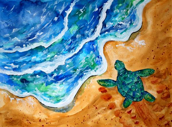Baby Schildkröte am Strand van Sebastian  Grafmann