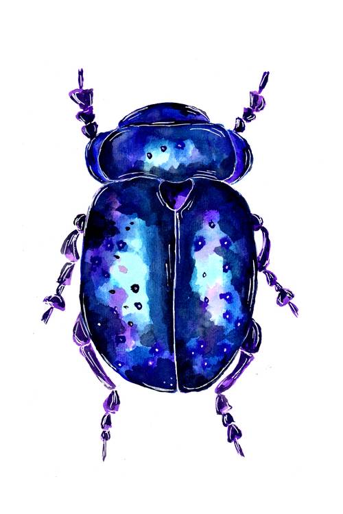 Blue and Purple colored Leaf Beetle van Sebastian  Grafmann