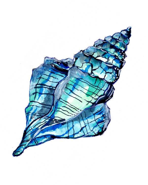 Blue Conch Seashell van Sebastian  Grafmann