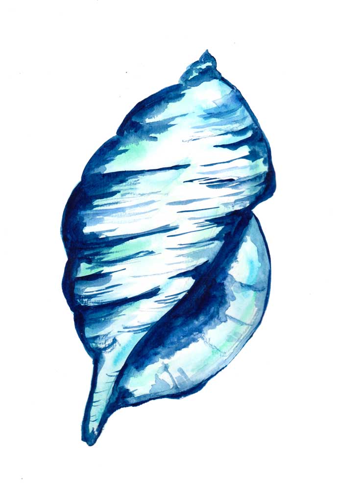 Blue Seashell van Sebastian  Grafmann