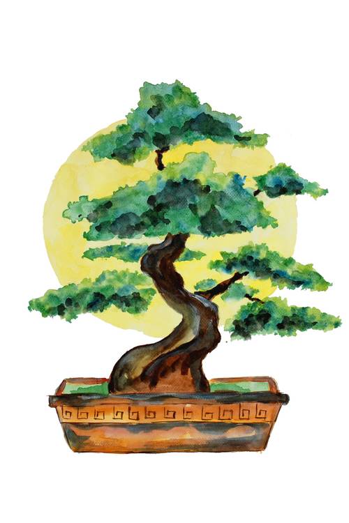 Bonsai Baum und Sonnenschein van Sebastian  Grafmann