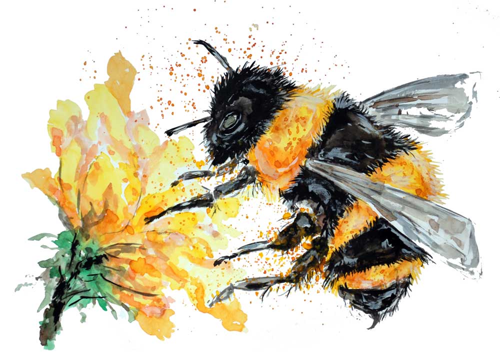 Bumble Bee Collecting Pollen van Sebastian  Grafmann