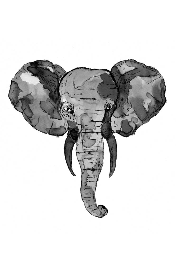 Grey African Elephant Head van Sebastian  Grafmann