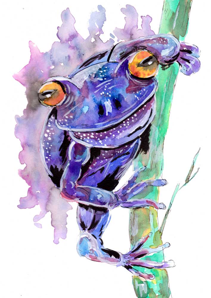 Purple Frog van Sebastian  Grafmann