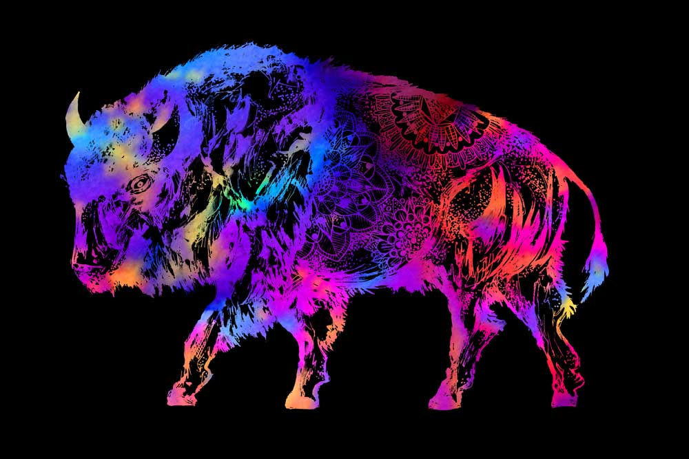 Rainbow Buffalo van Sebastian  Grafmann