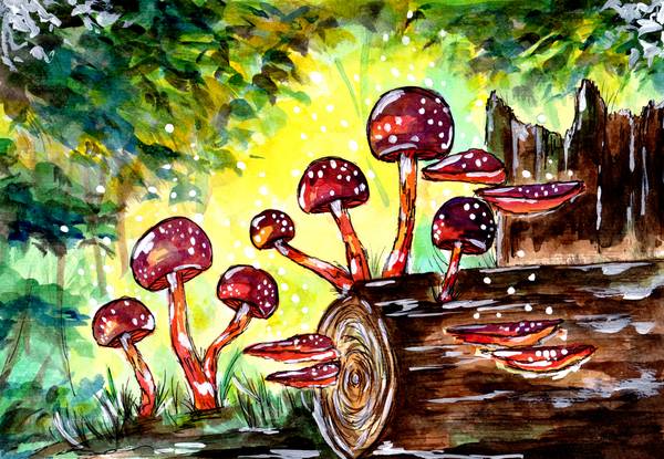 Red Mushrooms in the Forest van Sebastian  Grafmann