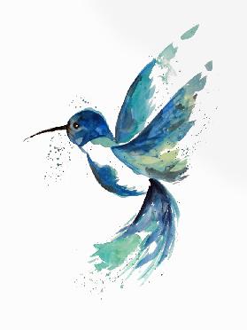Blue Hummingbird