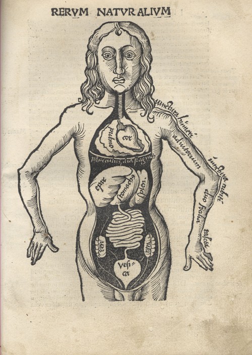 Margarita Philosophica. Anatomy van Gregor Reisch