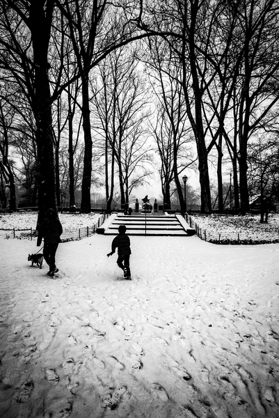 Central Park Steps van Guilherme Pontes