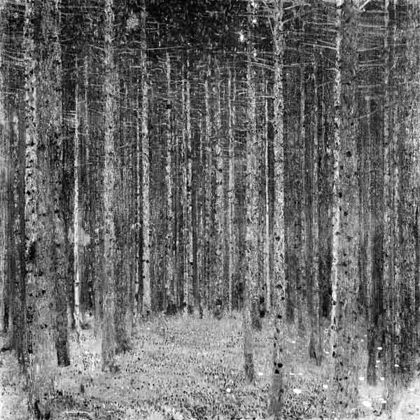 Fir Forest I van Gustav Klimt