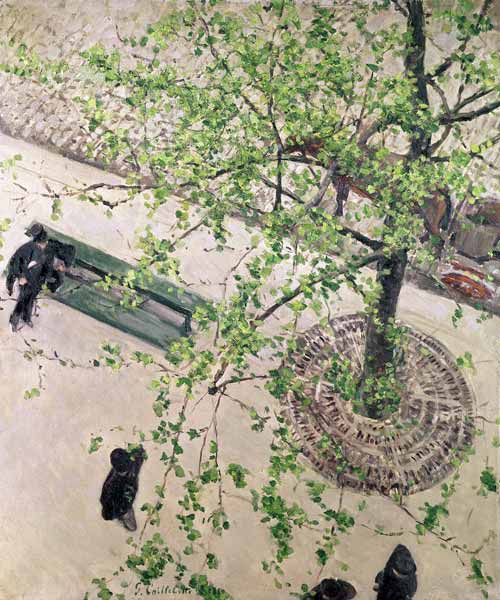 The Boulevard Viewed from Above van Gustave Caillebotte