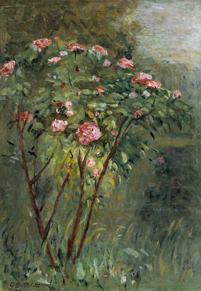 Le Rosier, c.1884-86. van Gustave Caillebotte