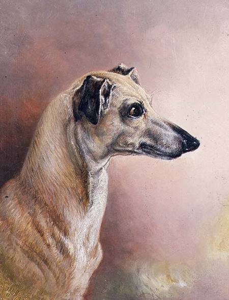 Head of a Greyhound (panel) van H. Morley Park