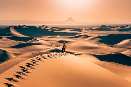 Alone In Desert