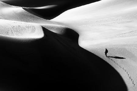 Shadow of the desert III