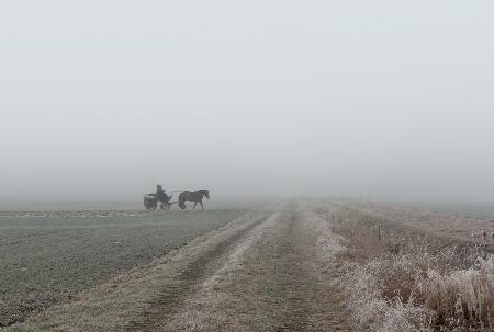 Carriage in the fog
