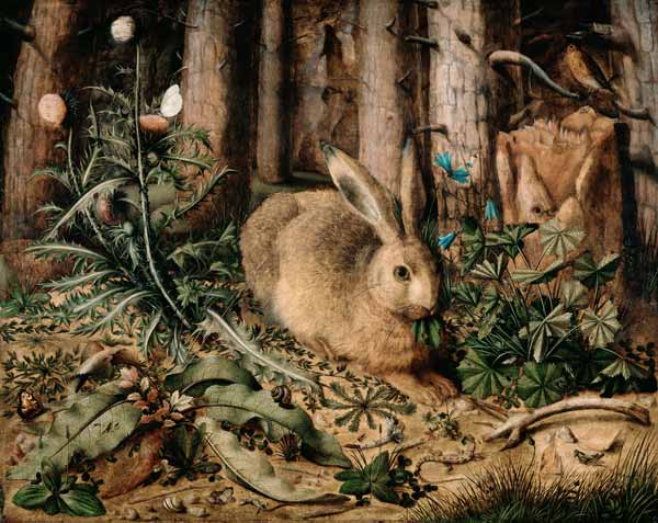 A Hare in the Forest van Hans Hoffmann