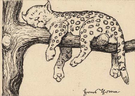 Drawing for the Primer:  Leopard