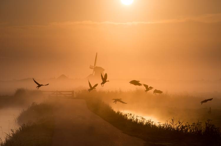 Sunrise Flight van Harm Klaverdijk