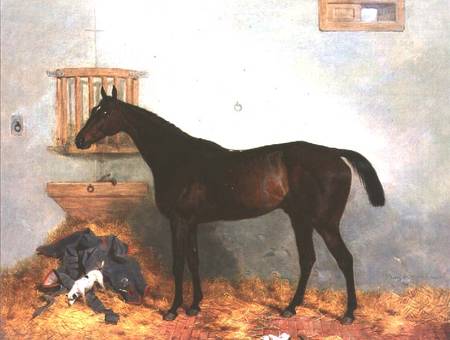 Thoroughbred in a Stable van Harry Hall
