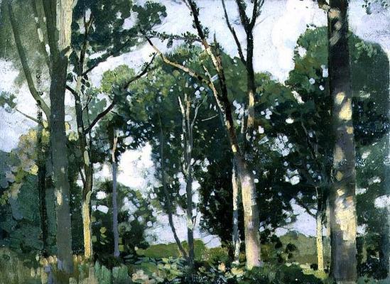 Trees in sunlight (panel) van Harry Watson
