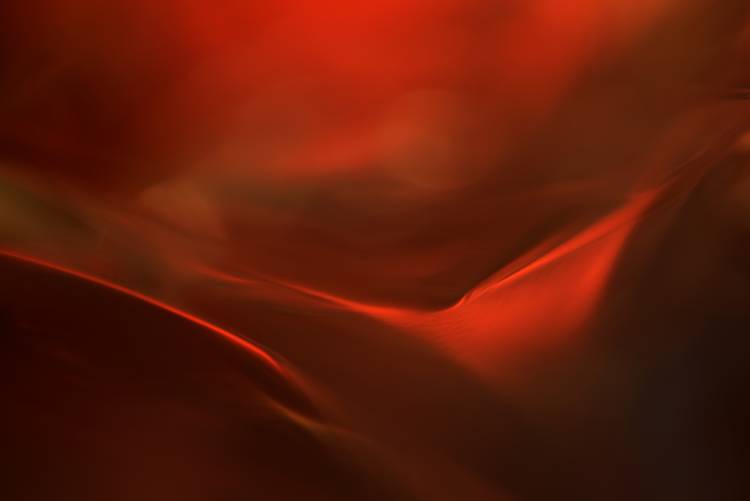 The red valley van Heidi Westum