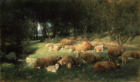 Schafe im Erlenhain