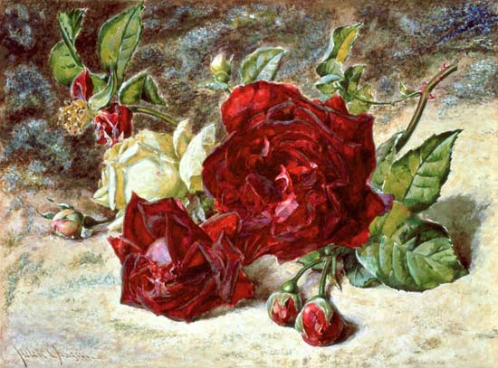 One White and Two Red Roses and Buds van Helen Cordelia Coleman Angell