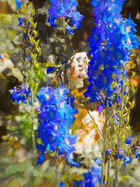 Blue Delphiniums van Helen White