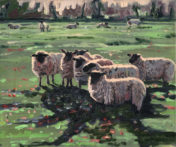 Curious Flock I van Helen White