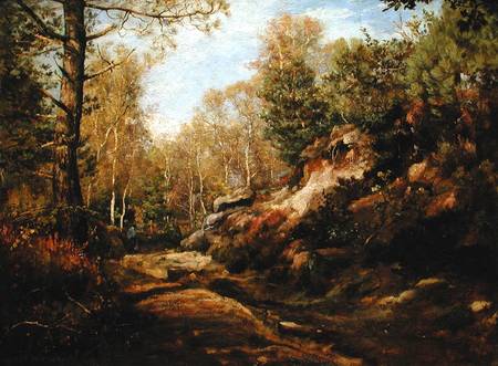 Pines and Birch Trees or, The Forest of Fontainebleau van Henri Joseph Constant Dutilleux