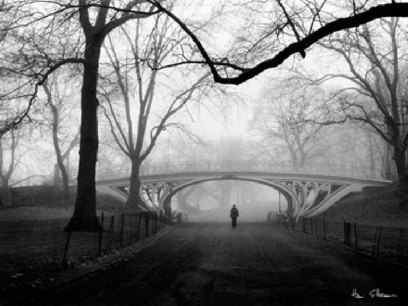 Gothic Bridge, Central Park NYC van Henri Silberman