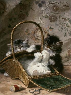 Kittens in een mand   Henriette Ronner-Knip