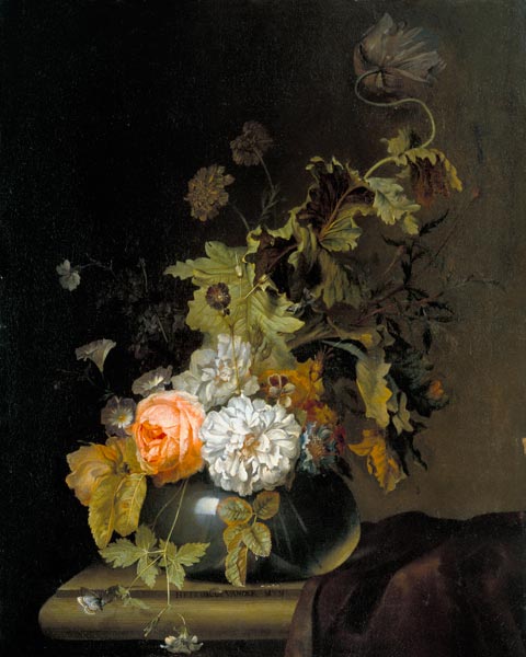 Flower Study van Herman van der Myn