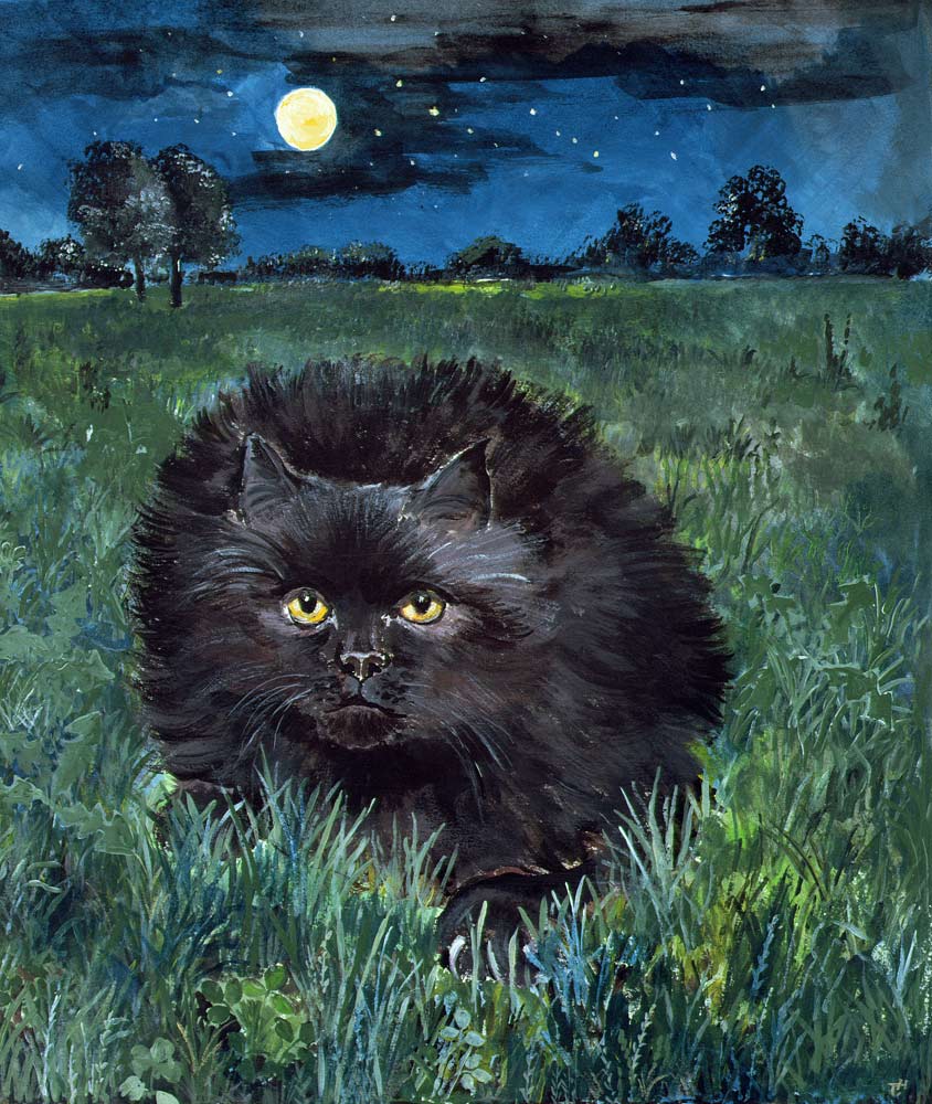 The Cat and the Moon (acrylic on paper)  van Hilary  Jones