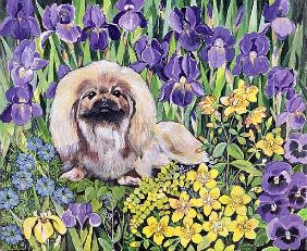 Peke in the Flower Bed (acrylic on canvas) 