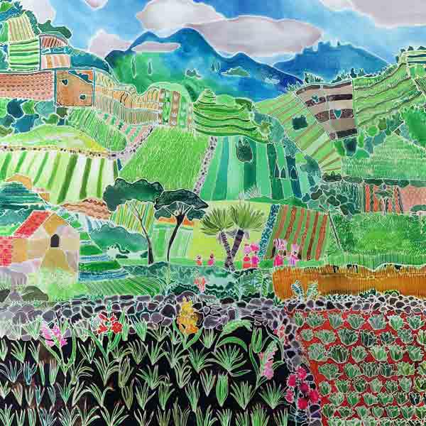 Cabbages and Lilies, Solola Region, Guatemala, 1993 (coloured inks on silk) 