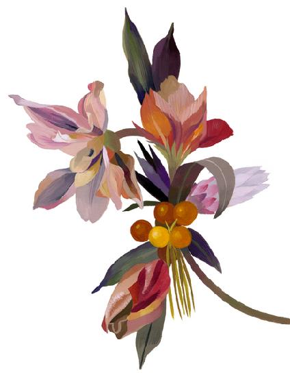 An imaginary flower based on a tulip