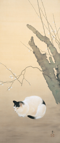 Cat and Plum Blossoms (Katze und Pflaumenblüten van Hishida Shunso
