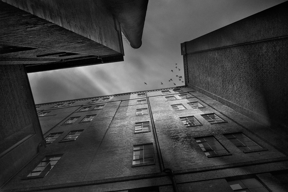 City of Shadow van Holger Droste