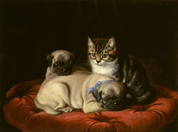 Zwei Möpse und ein Kätzchen van Horatio Henry Couldery