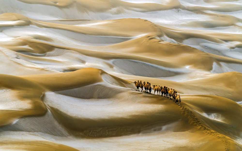 Desert Winter van Hua Zhu